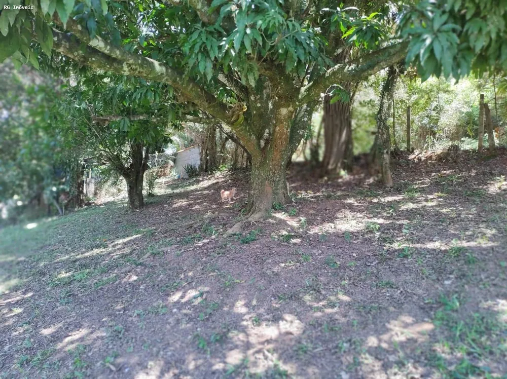 Chácara, 3 quartos, 6000 m² - Foto 1
