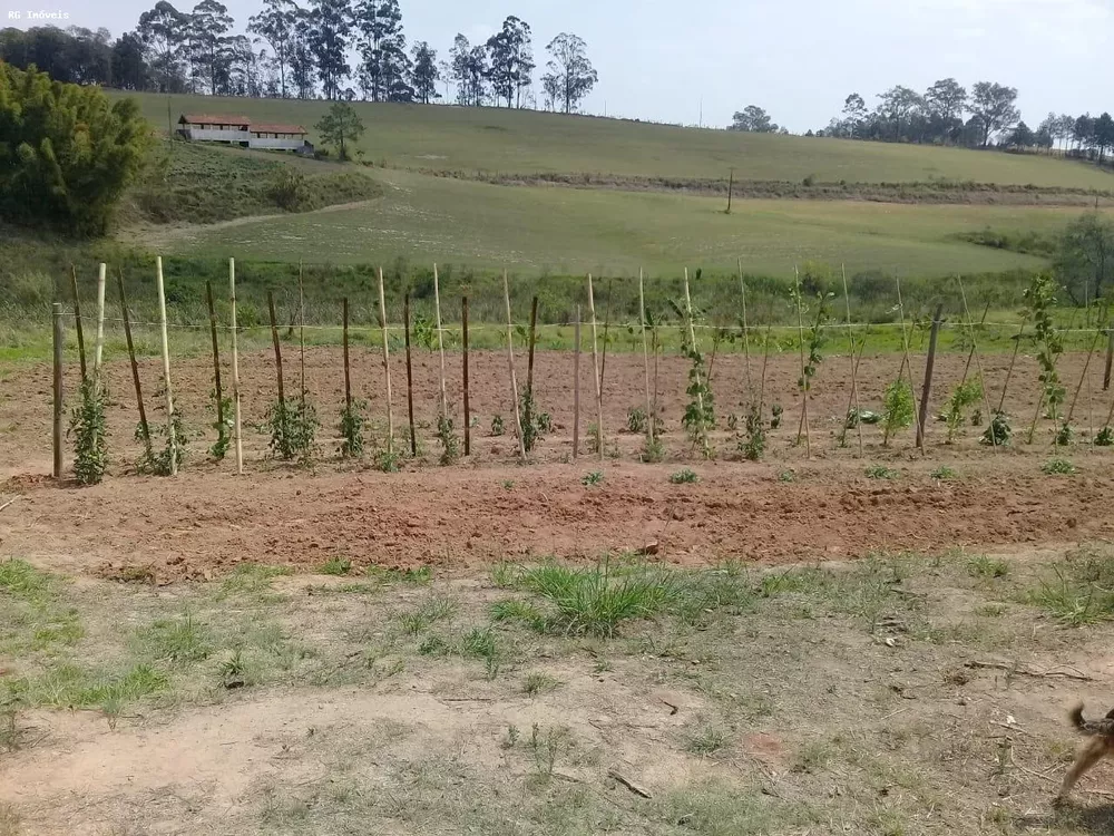 Sítio, 2 quartos, 19 hectares - Foto 1