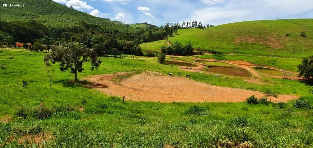 Chácara, 12 hectares - Foto 7