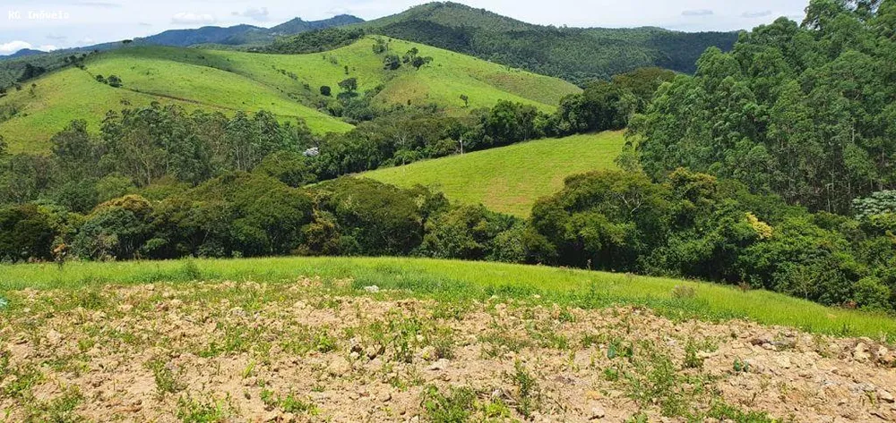 Chácara, 12 hectares - Foto 12