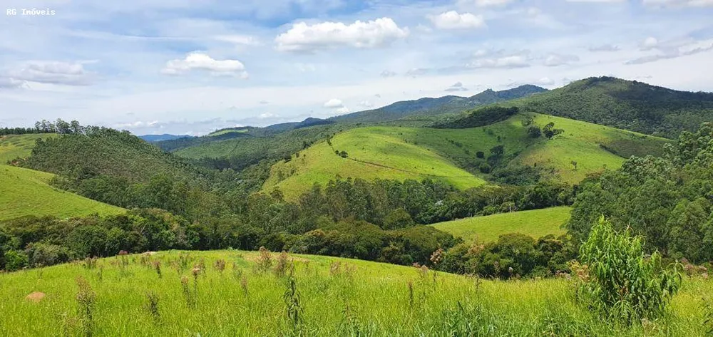 Chácara, 12 hectares - Foto 16
