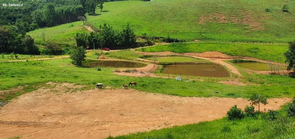 Chácara, 12 hectares - Foto 2