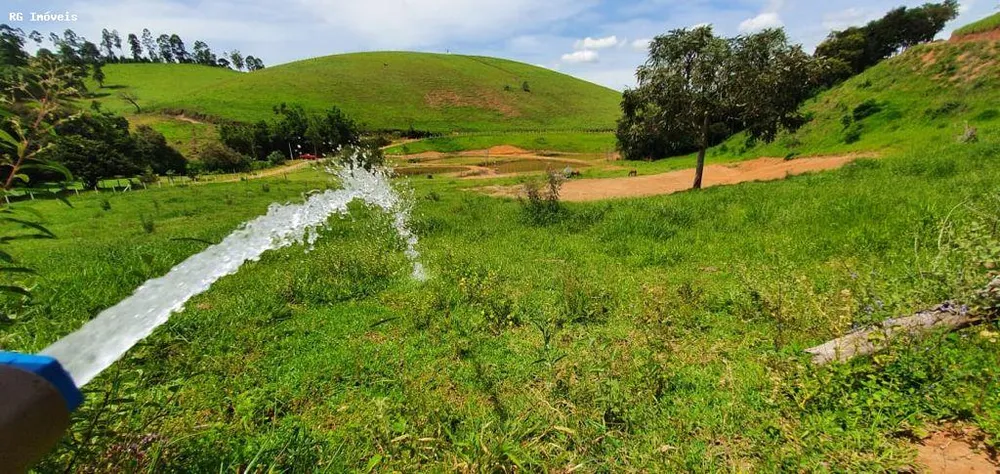 Chácara, 12 hectares - Foto 10