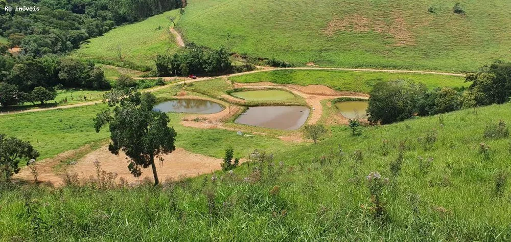 Chácara, 12 hectares - Foto 3