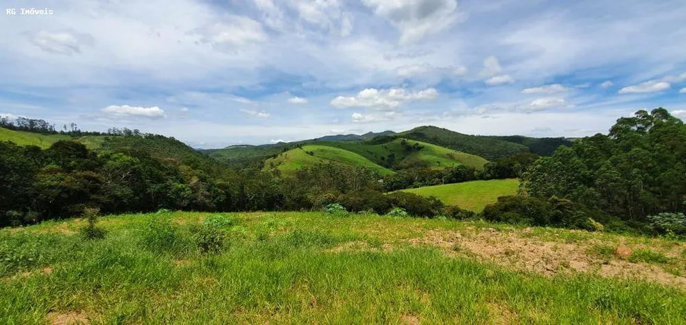Chácara, 12 hectares - Foto 14