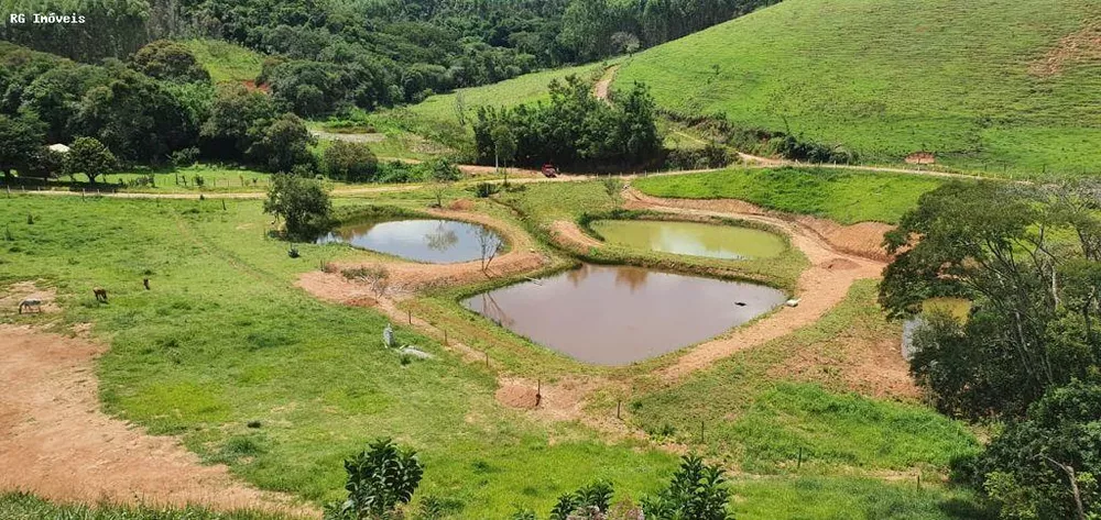 Chácara, 12 hectares - Foto 1