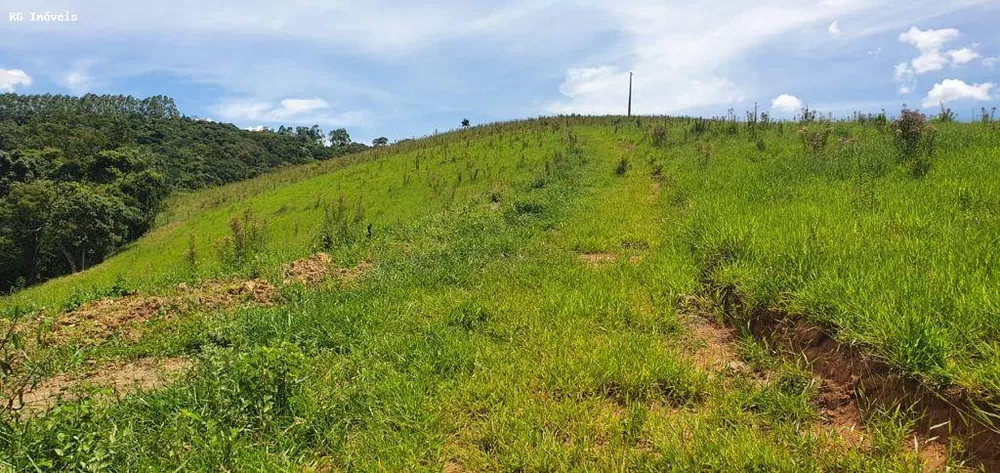 Chácara, 12 hectares - Foto 4