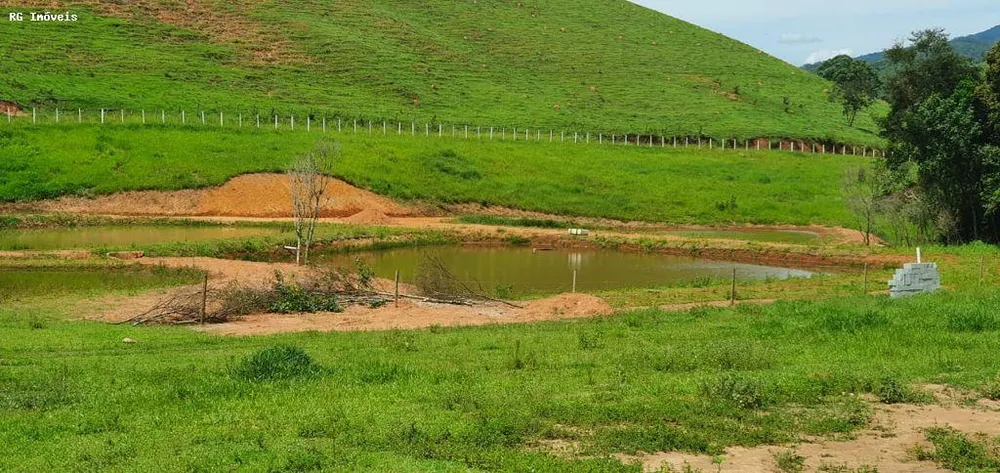 Chácara, 12 hectares - Foto 4