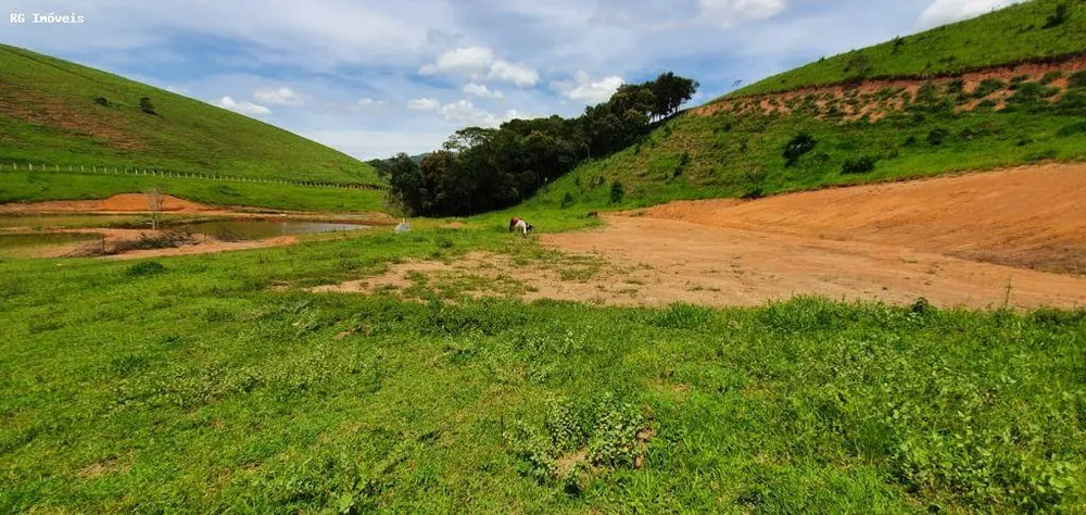 Chácara, 12 hectares - Foto 11