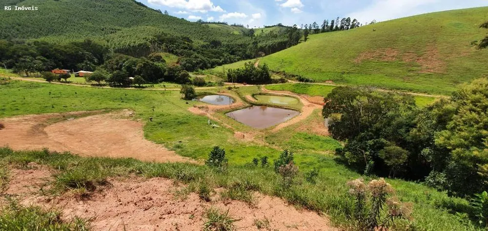 Chácara, 12 hectares - Foto 8