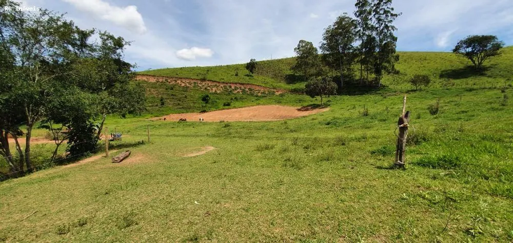 Chácara, 12 hectares - Foto 13