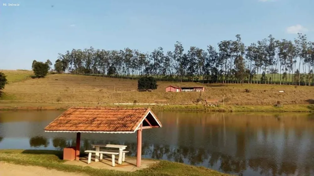 Fazenda, 97 hectares - Foto 4