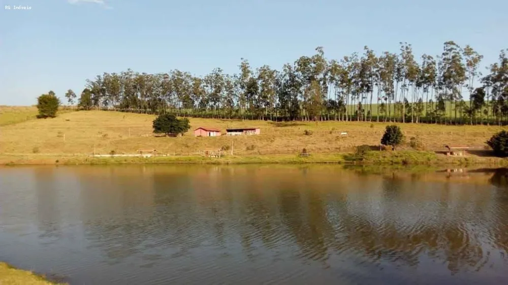 Fazenda, 97 hectares - Foto 5