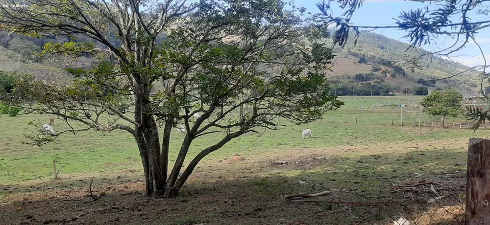 Sítio, 7 quartos, 23 hectares - Foto 14