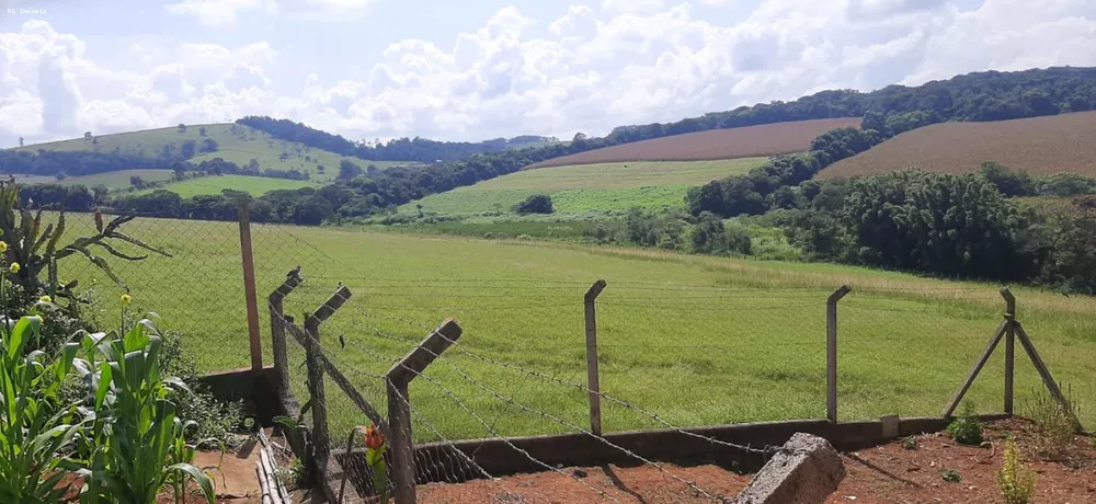 Sítio, 2 quartos, 27 hectares - Foto 4