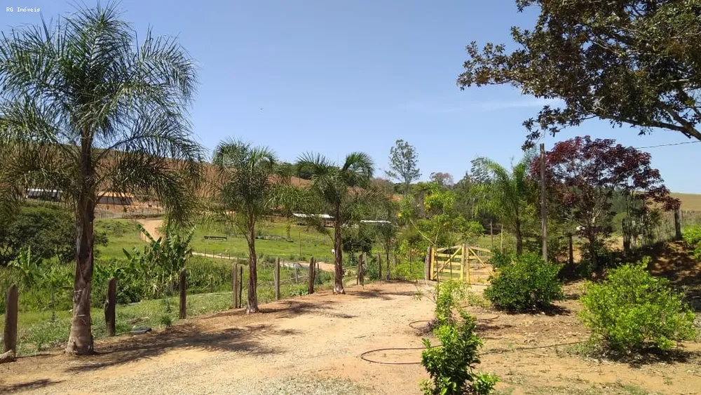 Sítio, 2 quartos, 73 hectares - Foto 5