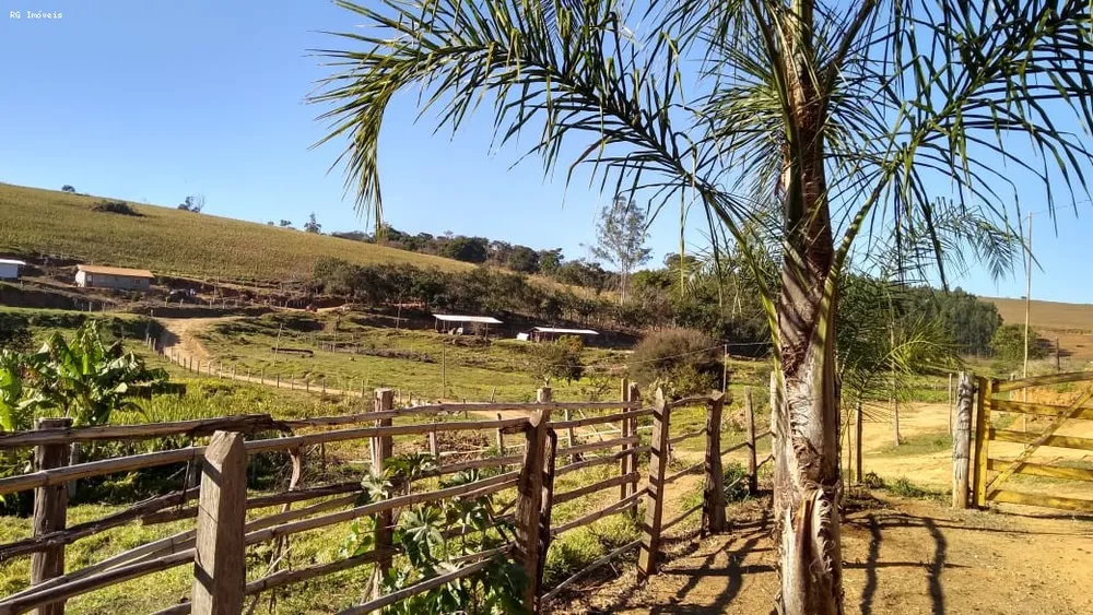 Sítio, 2 quartos, 73 hectares - Foto 4