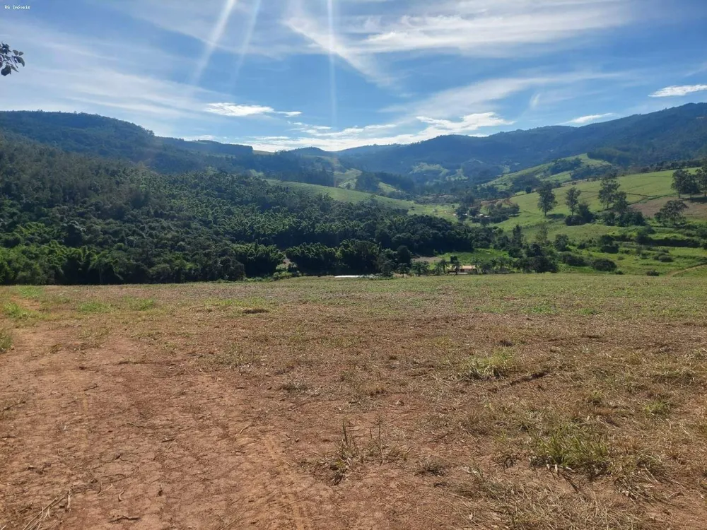 Sítio, 2 quartos, 73 hectares - Foto 14