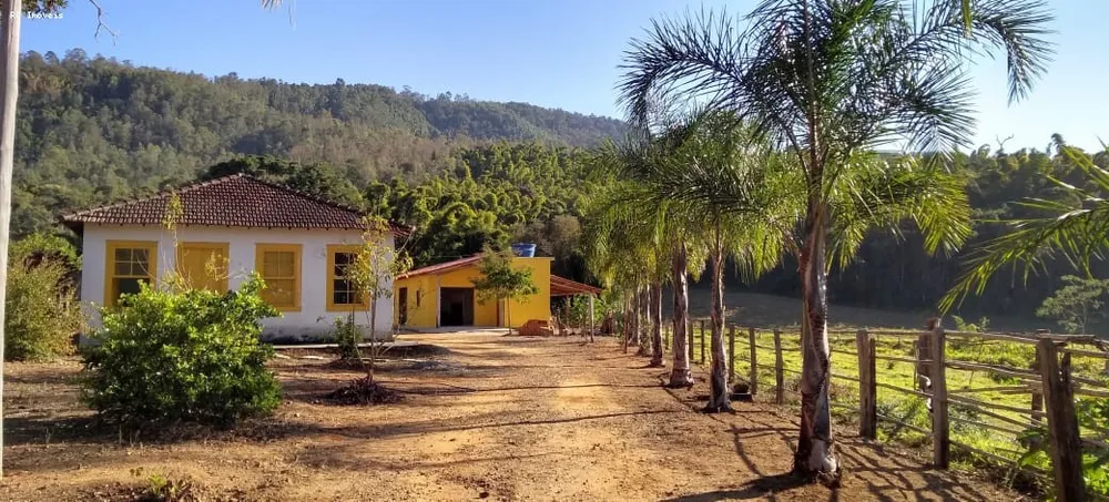 Sítio, 2 quartos, 73 hectares - Foto 3