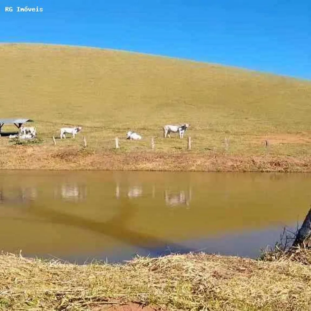 Fazenda, 250 hectares - Foto 6