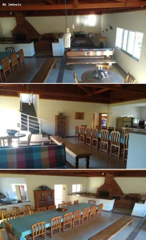 Fazenda, 250 hectares - Foto 7