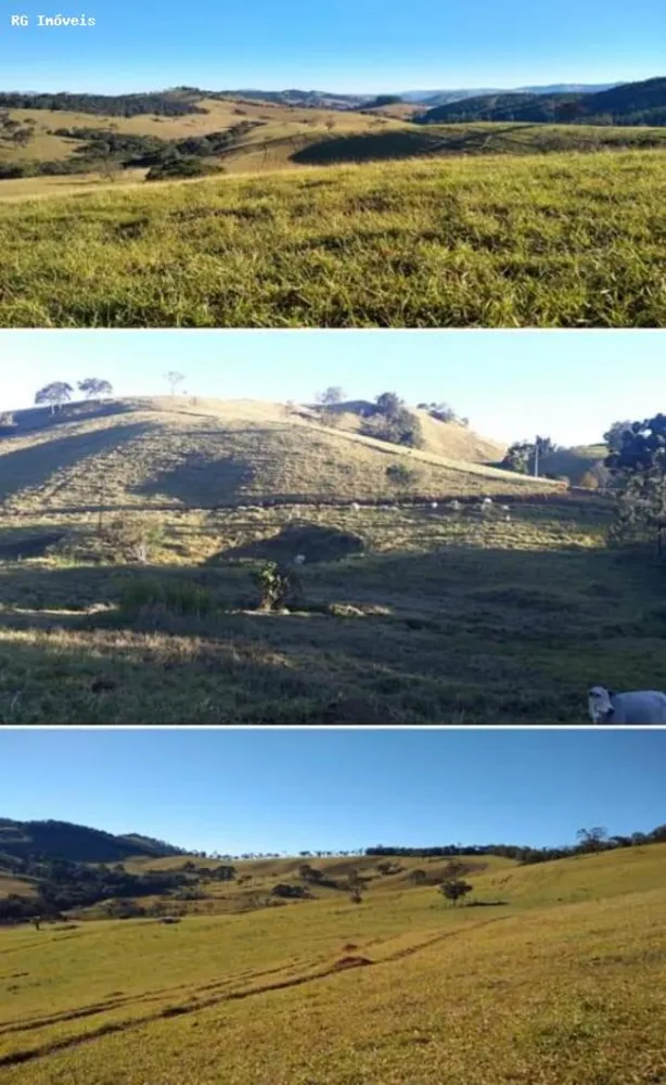 Fazenda, 250 hectares - Foto 8