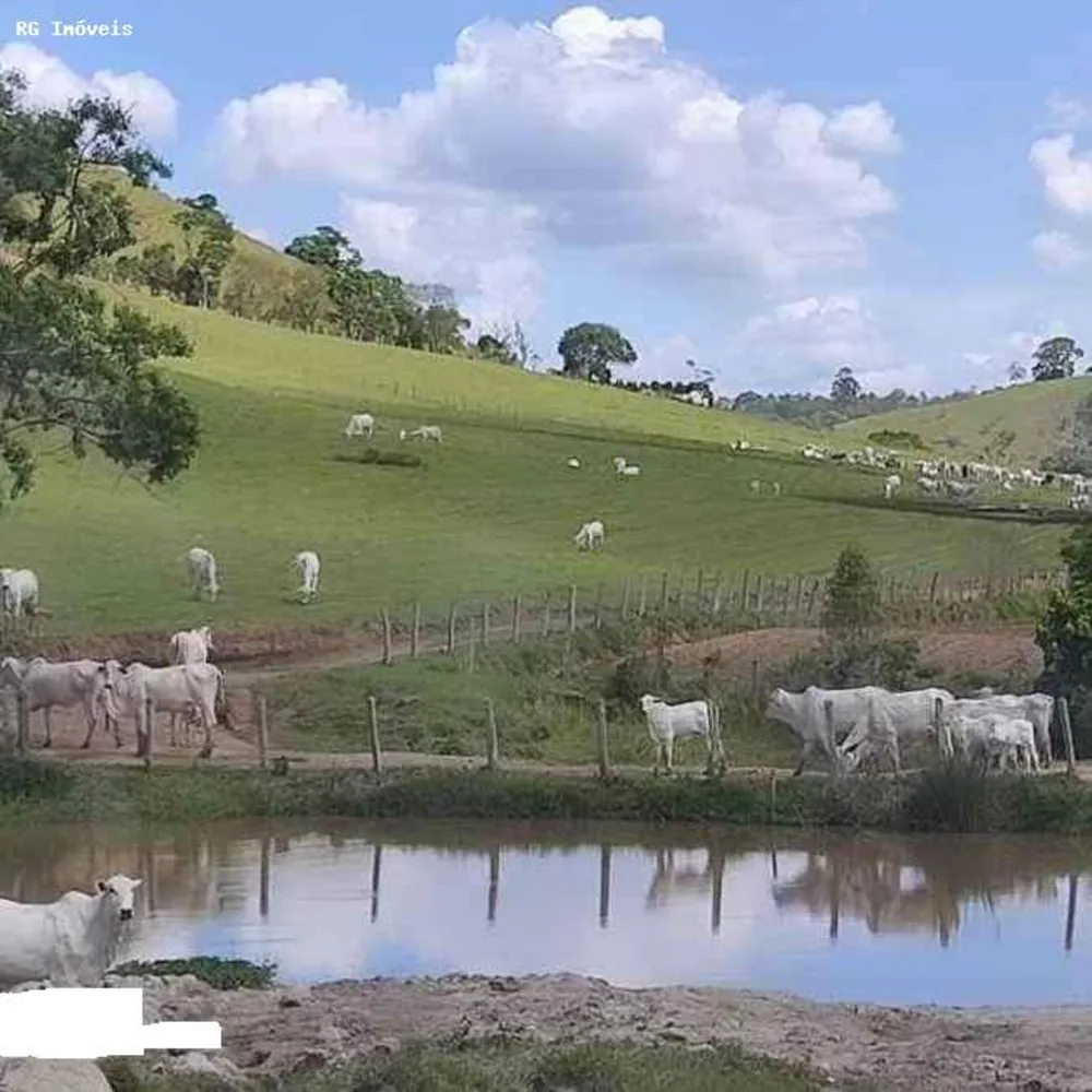 Fazenda, 250 hectares - Foto 4