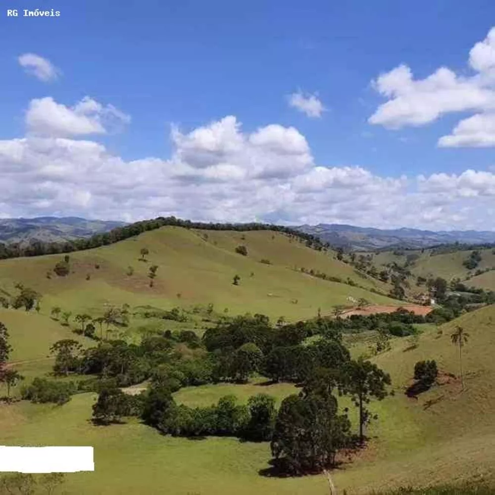 Fazenda, 250 hectares - Foto 2