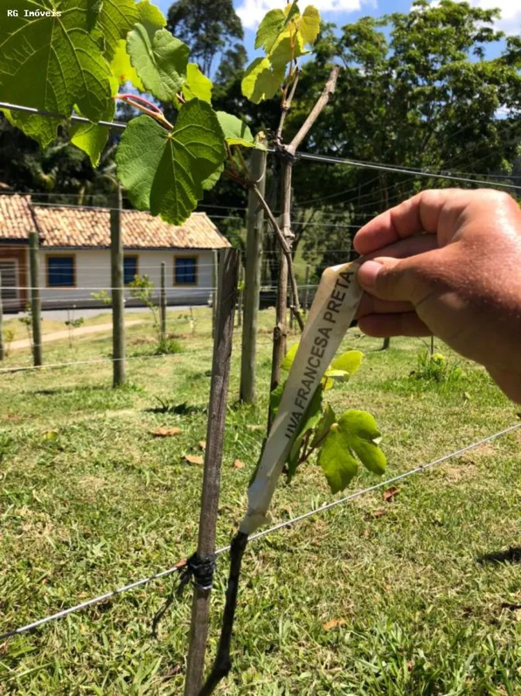 Fazenda, 378 hectares - Foto 12