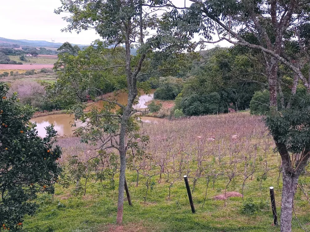 Fazenda, 23 hectares - Foto 6