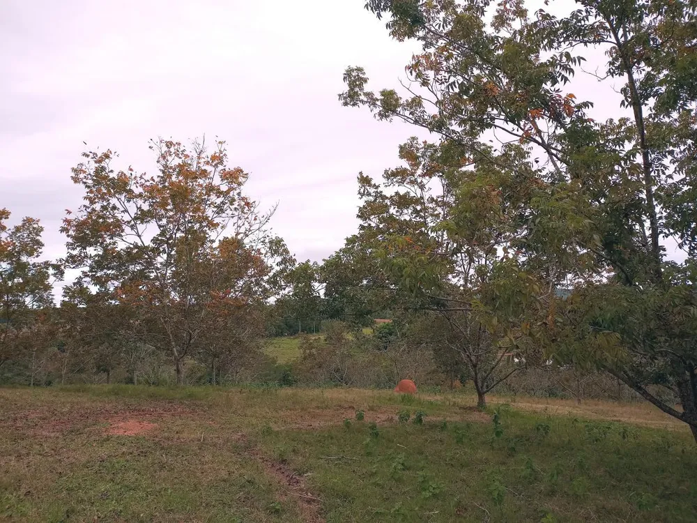 Sítio, 6 quartos, 23 hectares - Foto 3