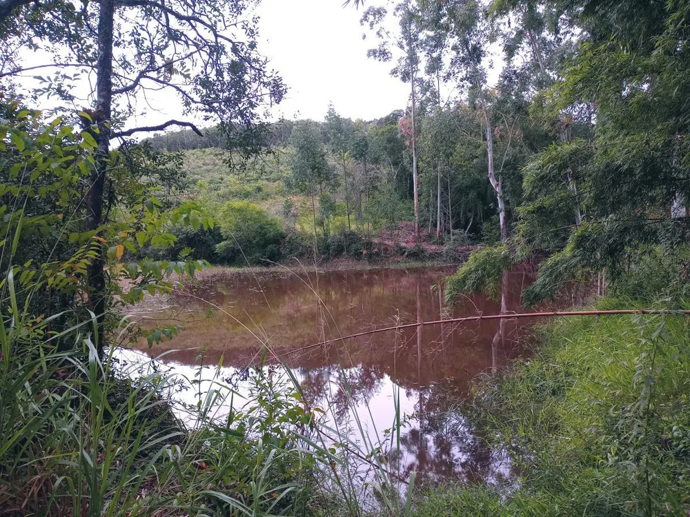 Fazenda, 23 hectares - Foto 7