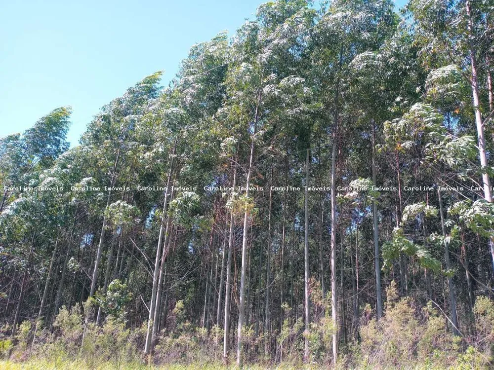 Loteamento e Condomínio, 3 hectares - Foto 1