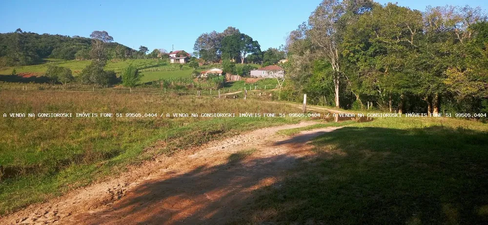 Sítio, 3 quartos, 6 hectares - Foto 4