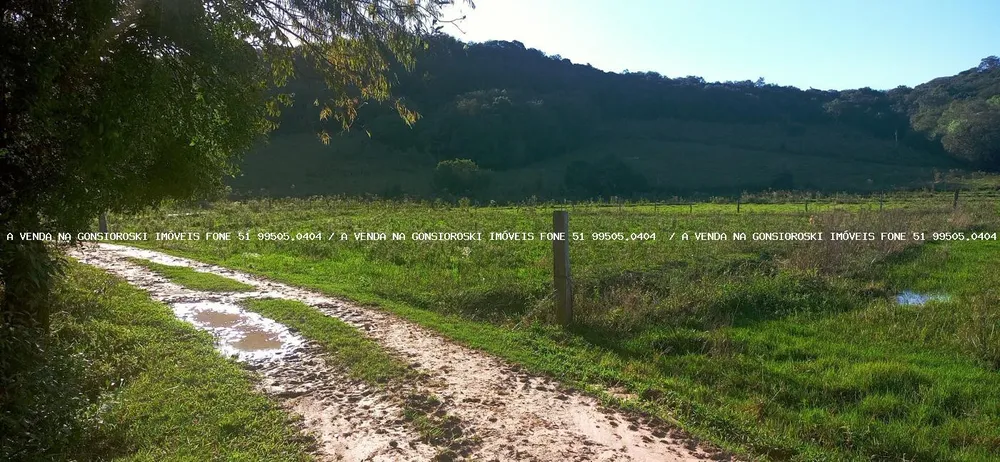 Sítio, 3 quartos, 6 hectares - Foto 7
