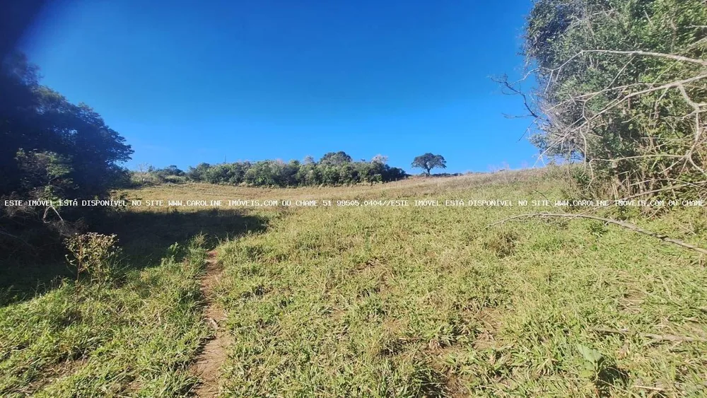 Sítio, 4 quartos, 5 hectares - Foto 10