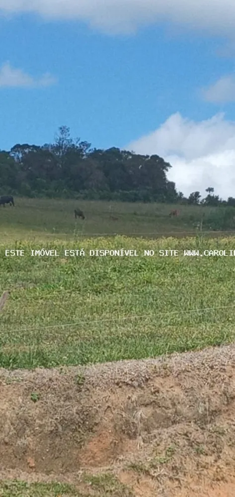 Sítio, 4 quartos, 5 hectares - Foto 6