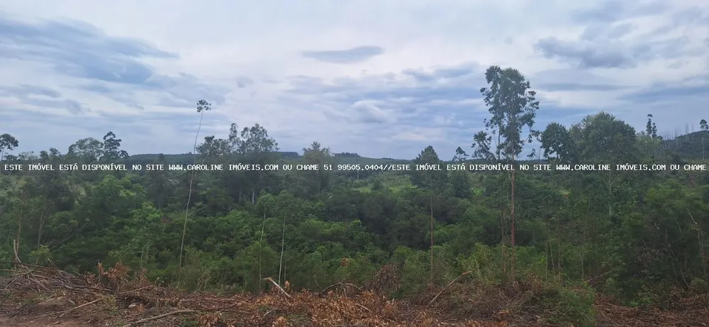 Loteamento e Condomínio, 32 hectares - Foto 3