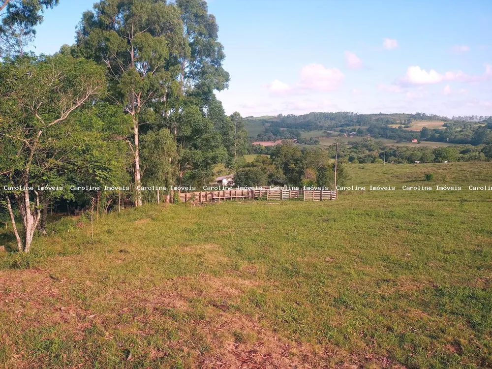 Sítio, 2 quartos, 40 hectares - Foto 14