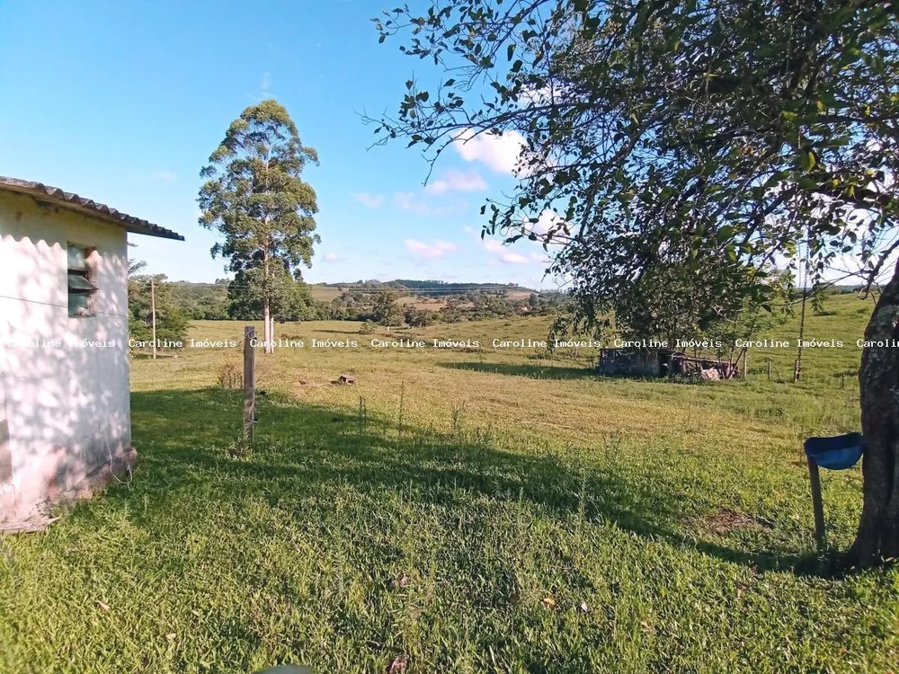 Sítio, 2 quartos, 40 hectares - Foto 11
