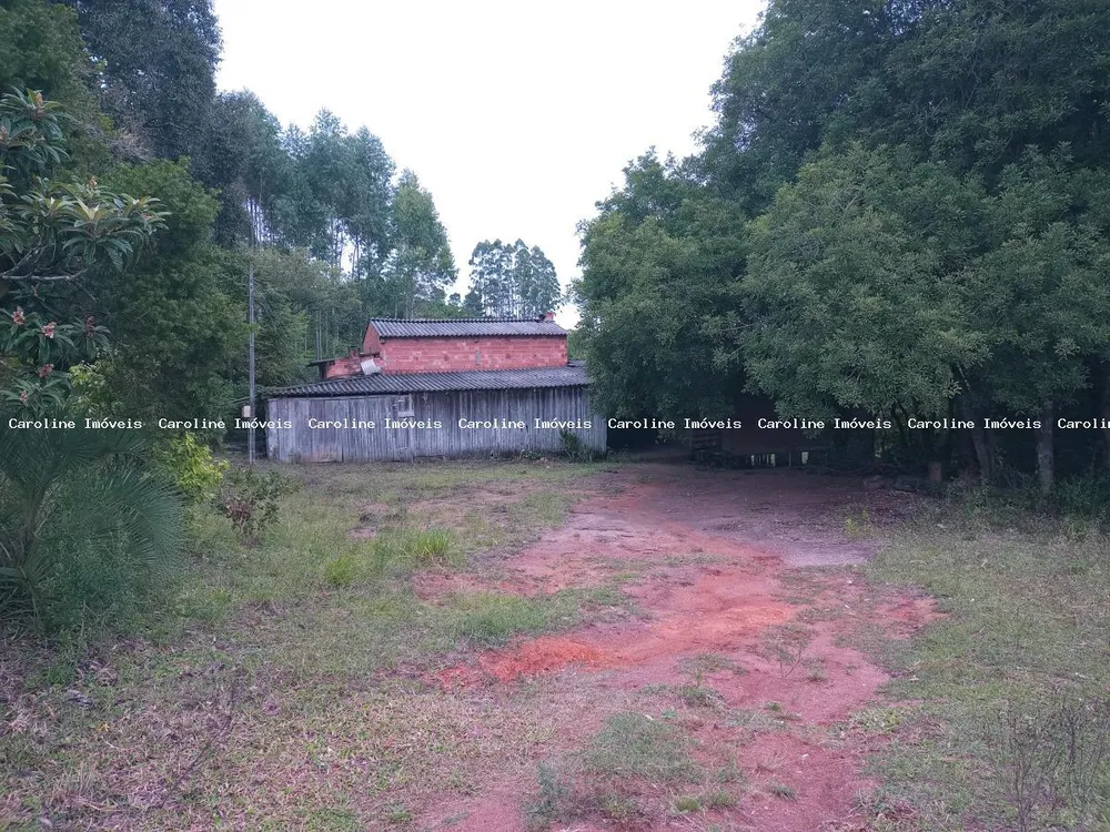 Chácara, 5 hectares - Foto 4