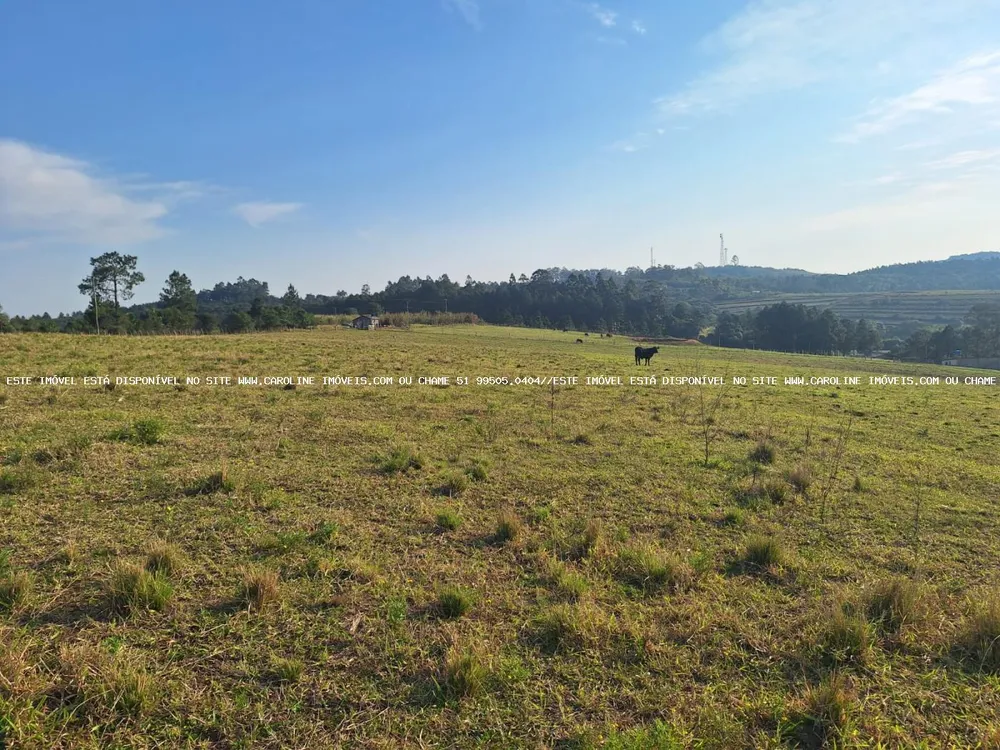 Sítio, 8 hectares - Foto 10