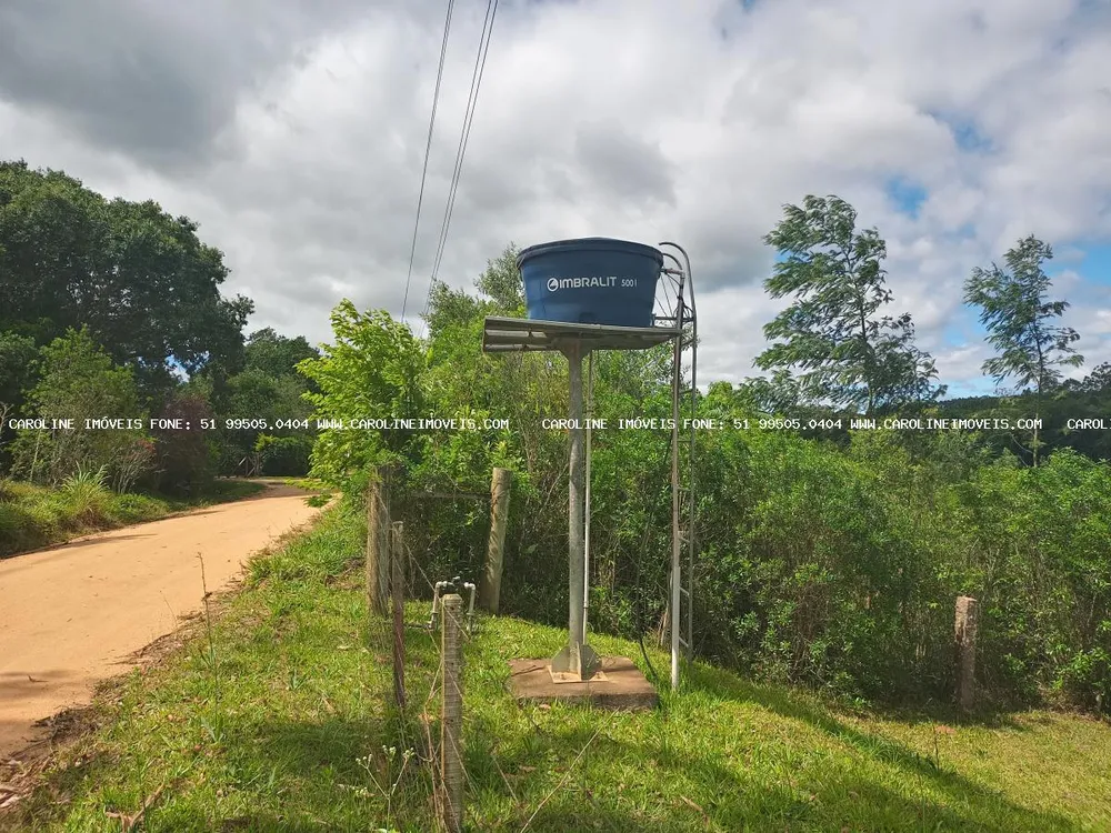 Chácara, 3 quartos, 3 hectares - Foto 4