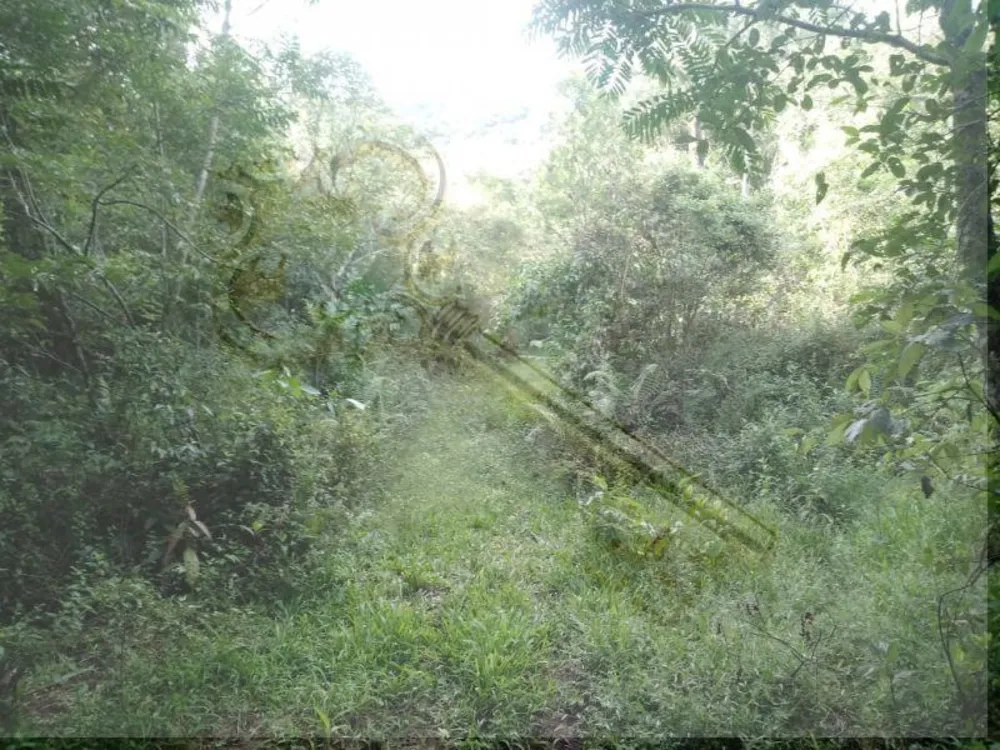 Loteamento e Condomínio, 13 hectares - Foto 1
