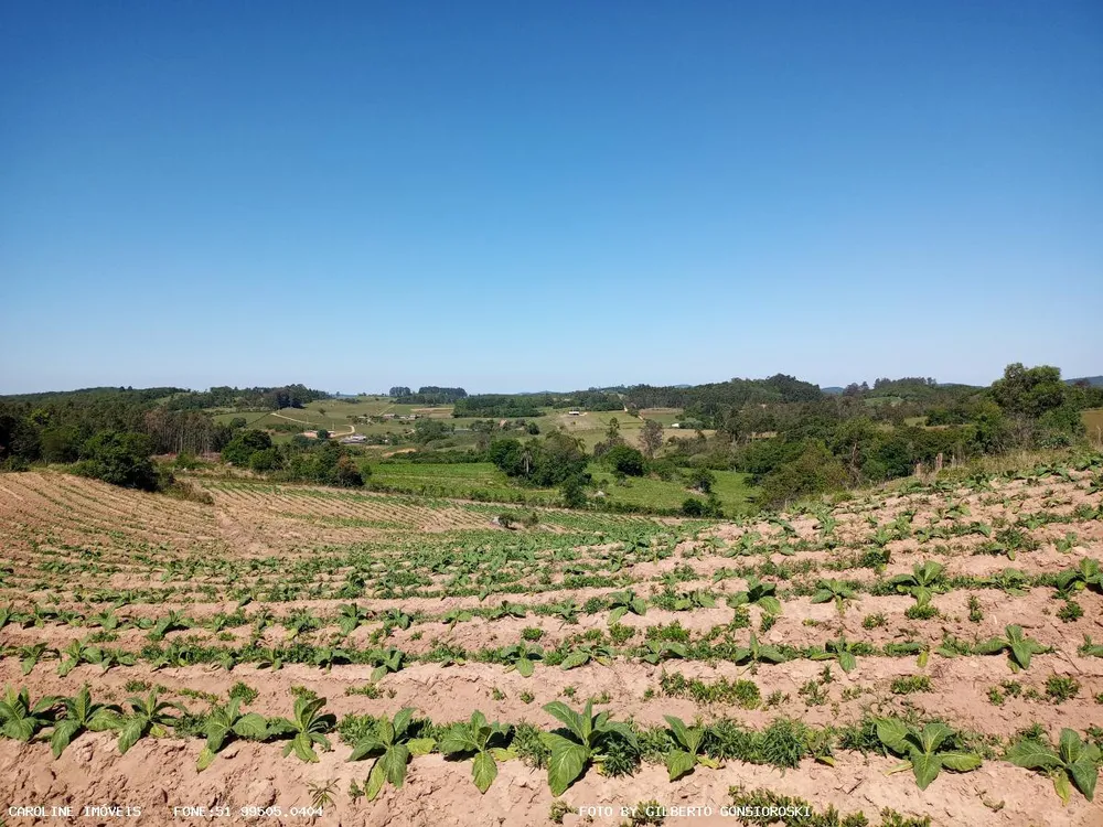 Loteamento e Condomínio, 16 hectares - Foto 3