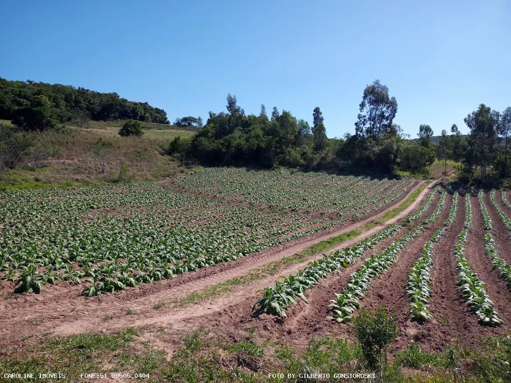 Loteamento e Condomínio, 16 hectares - Foto 6