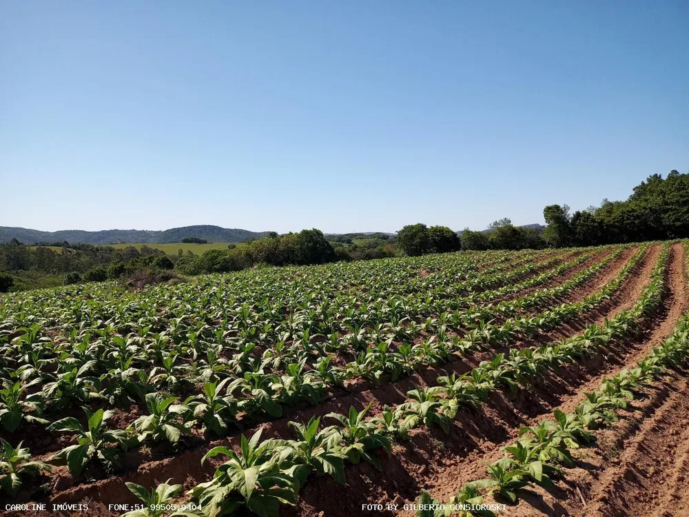 Loteamento e Condomínio, 16 hectares - Foto 1