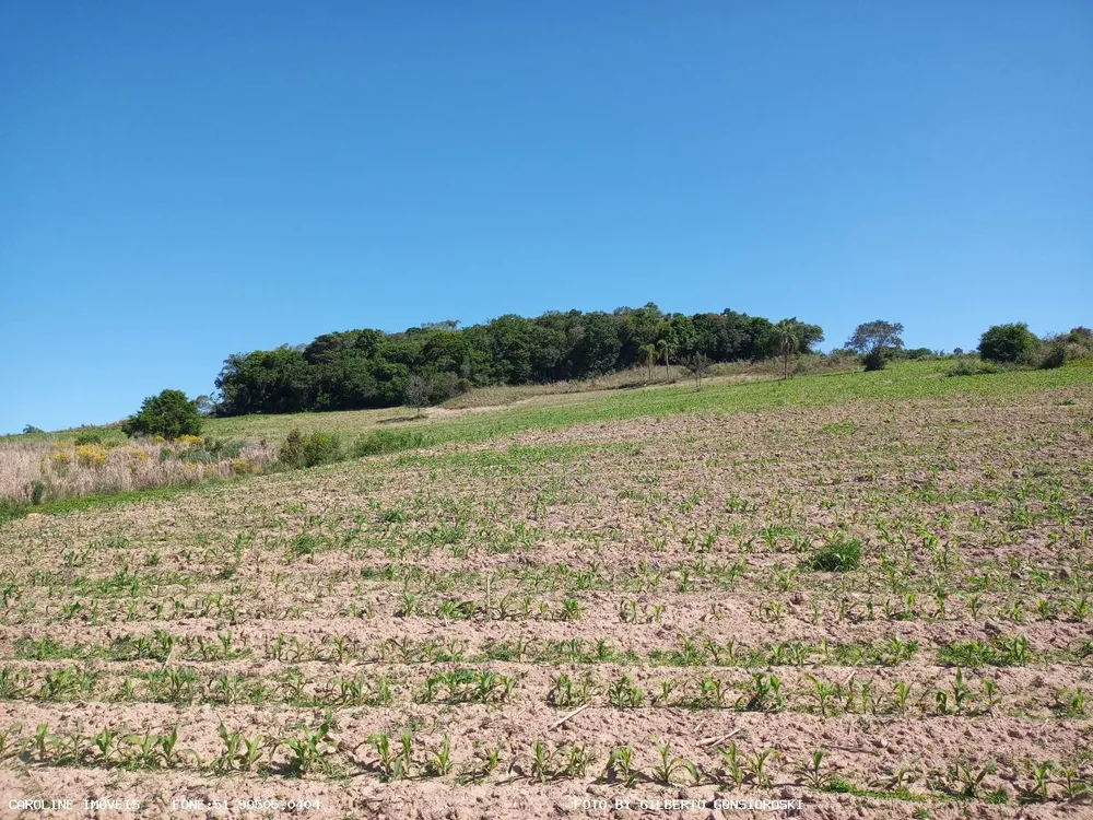 Loteamento e Condomínio, 16 hectares - Foto 3