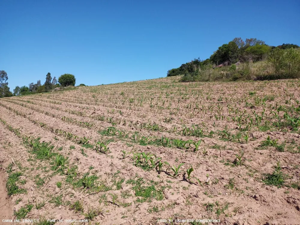 Loteamento e Condomínio, 16 hectares - Foto 2