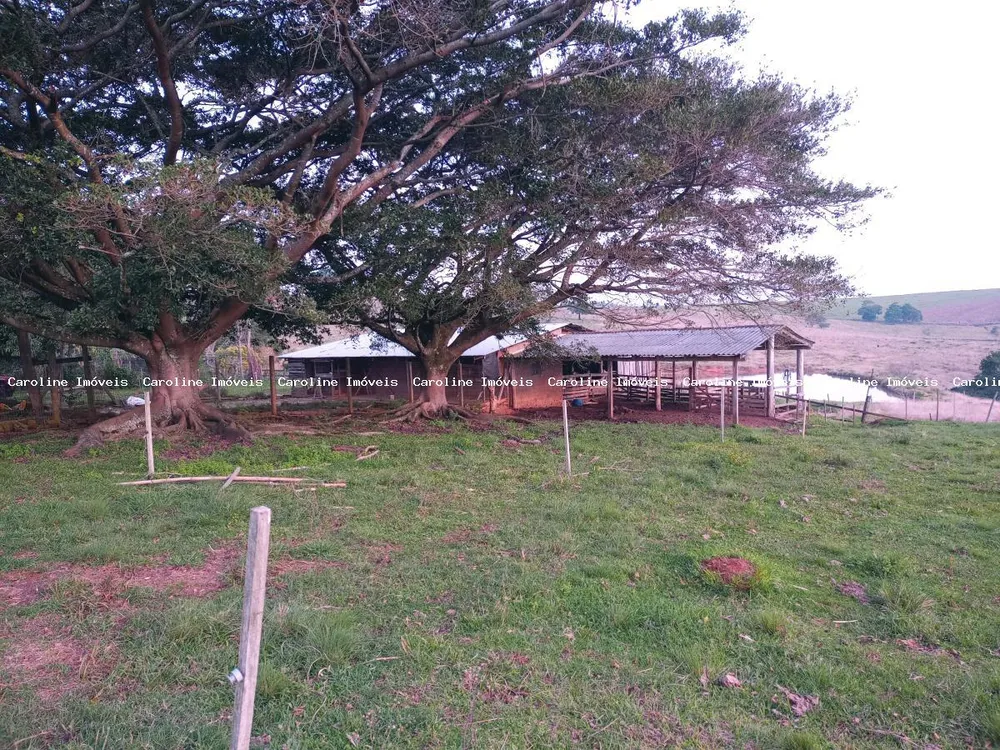Sítio, 3 quartos, 23 m² - Foto 11